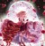 蒋蕊芯