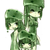 Slime