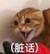 药丸