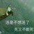 作者