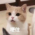 肚奇