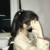 苏妈