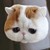 tin寶
