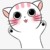 猫奶奶