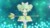 淑馨