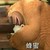 熊二