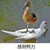 老板
