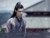 江澄.晚吟
