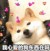 李哥