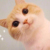 喵呜