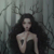 白莲花