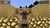 notch