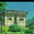 夏媽媽