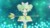 淑馨