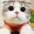 猫耳少女