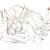 奈特斯（长官）