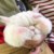 三号玩家