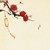 旁白君
