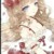 晓晓