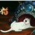 兽形白糖