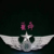 秀鸽（龙）