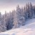 小雪