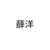薛成美
