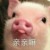 龙套