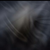 作者