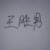 王胜男