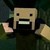 notch