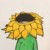 芳芳