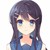 宋齐雅