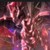 不死神龍