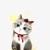 猫民A