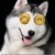 狗子