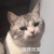 某不知名作者
