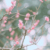 夕子妈妈