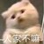 還是那么沙雕的作者