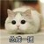 莊園主