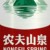 段子罗