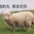 作者小可爱