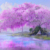 主持