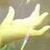 稻草人