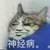 甄建