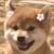 灵耗耗
