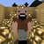 notch