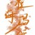 宋爸，宋媽