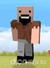 notch