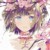 安芷兰